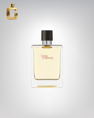 Odlewka perfum - Hermes - Terre d'Hermes EDT (woda toaletowa)