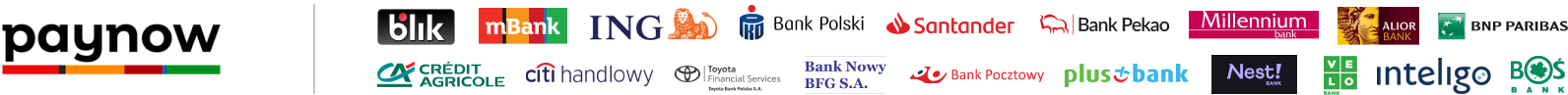Baner-bez-kart_belka_paynow-1-(1).png
